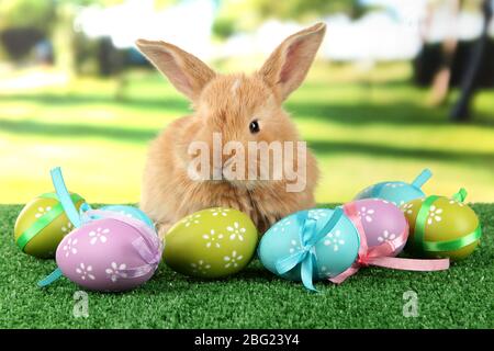 Fluffy foxy rabbit on grass with Easter eggs in park Stock Photo