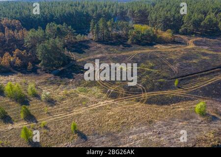 Smoke over forest, wild fire aerial view. Scorched earth and tree trunks after a spring fire in forest. Black burnt field. Extraordinary incident. Con Stock Photo