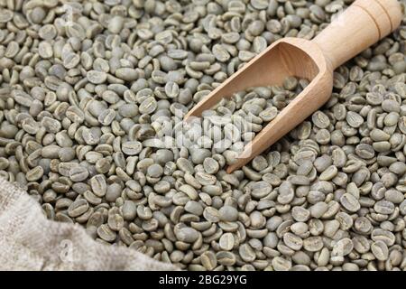 green unroasted coffee beans in burlap sack Stock Photo