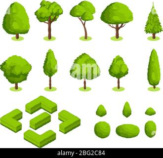 Isometric 3d vector park and garden trees and bushes. Green forest plants collection. Green tree and bush environment illustration Stock Vector