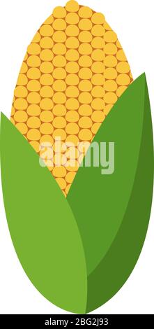 Flat corn, illustration, vector on white background Stock Vector