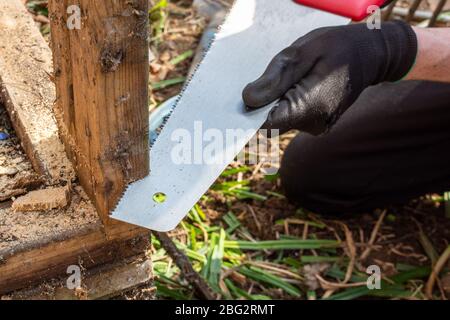 A close up of a hand saw being using to cut through a piece of vertical frame timber Stock Photo