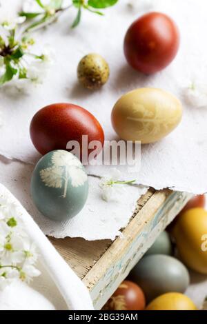 Easter eggs dyed with natural dyes, cabbage, chamomile, hibiscus and onion peel. Stock Photo
