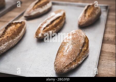 Rye bread on a baking sheet Homemade baking. Selective focus Stock Photo