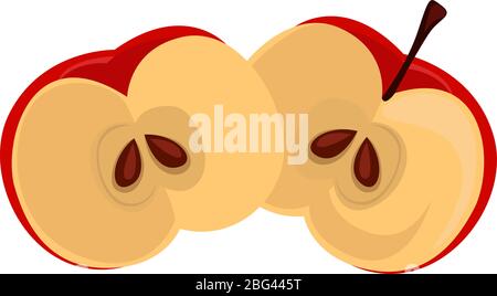 Red apple cut in half, illustration, vector on white background Stock Vector