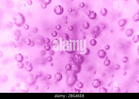 Abstract background. Texture. Many round bubbles of the shower gel on the purple background. Sometimes blurred bubbles. Stock Photo