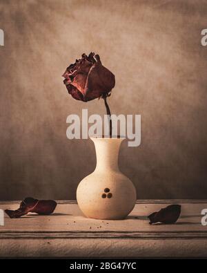 Abstract still life displaying dead, dried, dry rose in ceramic pot against black background- passage of time, loneliness and death concepts Stock Photo