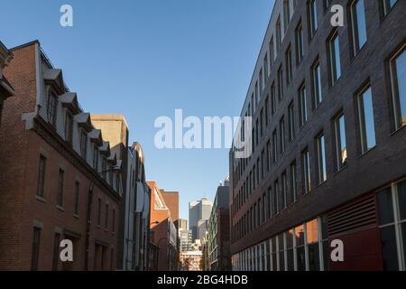 Residential area of the downtown of Montreal, Quebec, Canada, with condos and housing flats in a small street, with business skycrapers from the CBD i Stock Photo