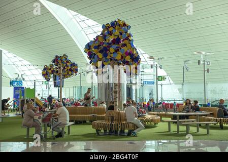 DUBAI, UAE, SRI LANKA - FEBRUARY 24, 2020: Recreation area with artificial birches on the Dubai International Airport Stock Photo
