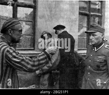 Second World War documentary. Second World War documentary. A Russian survivor of the Buchenwald concentration camp identifies for the liberating U.S. troops a former camp guard accused of brutally beating prisoners, June 1945. Stock Photo