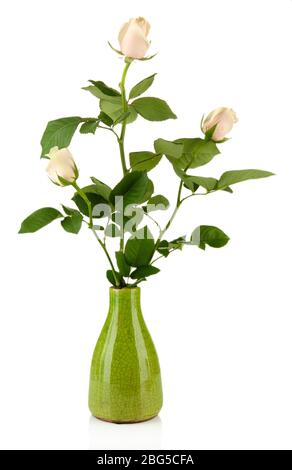 Beautiful roses in vase, isolated on white Stock Photo