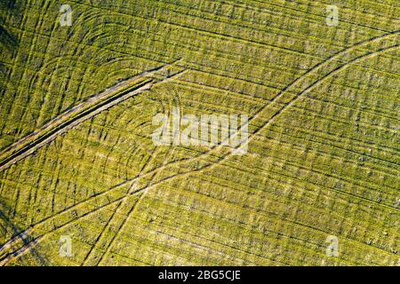 Agricultural landscape. Aerial view. Stock Photo