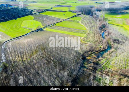 Agricultural area, river and poplar grove. Stock Photo