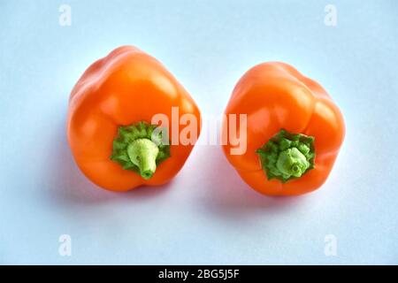 Small bell peppers. Two orange mini peppers on a light blue background with copy space. Stock Photo