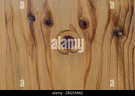 Funny patterned wooden texture closeup. Sawed wood background in shades of light brown wooden timber. Plank of parquet floor. Stock Photo