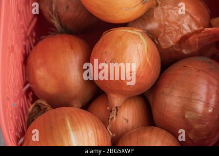 onion. Onions in a basket. Large onion harvest in a basket. Bulb onion is rich in vitamins, useful spring. Onion peel on a wooden background. Large on Stock Photo