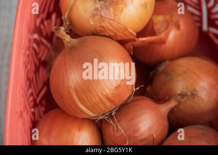 onion. Onions in a basket. Large onion harvest in a basket. Bulb onion is rich in vitamins, useful spring. Onion peel on a wooden background. Large on Stock Photo