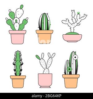 Vector hand drawn outline cactus in pots with color elements illustration Stock Vector