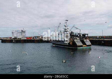 Old small sea fishing boat turned into a feature for plants in a