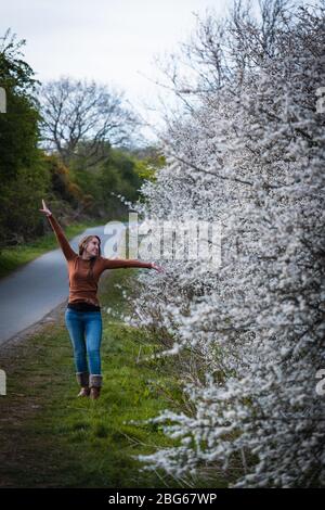 A young attractive woman posing beside a white cherry blossom tree on a country footpath Stock Photo