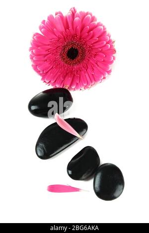 Spa stones and gerbera isolated on white Stock Photo - Alamy