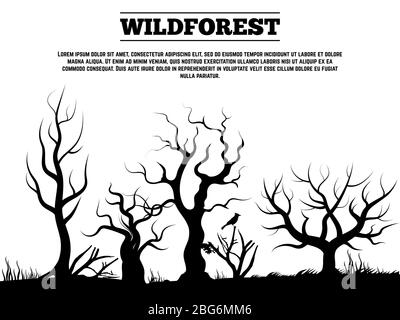 Black wild old forest landscape background banner and poster. Vector illustration Stock Vector
