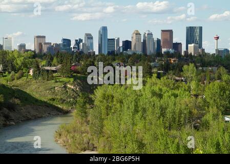 The skyline of the City of Calgary, Alberta, Canada seen from a distance with trees and the Elbow River. Stock Photo