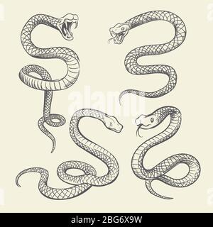 Drawing sketch style illustration of rattlesnake coiling around anchor ...