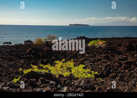 the shoreline at Kanahena Beach, Maui Hawaii Stock Photo