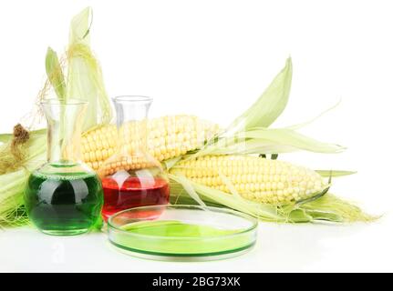 Conceptual photo of bio fuel from corn.  Isolated on white Stock Photo