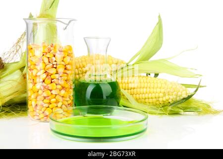 Conceptual photo of bio fuel from corn.  Isolated on white Stock Photo