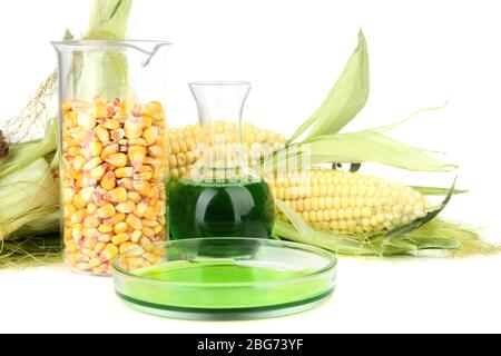 Conceptual photo of bio fuel from corn.  Isolated on white Stock Photo