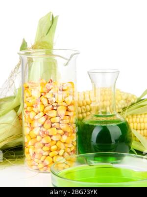 Conceptual photo of bio fuel from corn.  Isolated on white Stock Photo