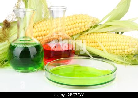 Conceptual photo of bio fuel from corn.  Isolated on white Stock Photo