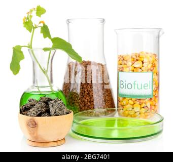 Conceptual photo of bio fuel.  Isolated on white Stock Photo