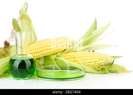 Conceptual photo of bio fuel from corn.  Isolated on white Stock Photo