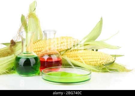 Conceptual photo of bio fuel from corn.  Isolated on white Stock Photo