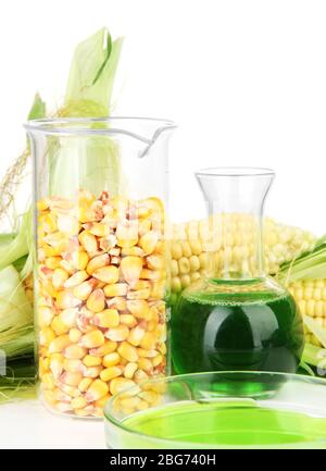 Conceptual photo of bio fuel from corn.  Isolated on white Stock Photo