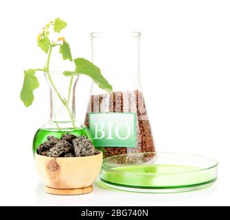 Conceptual photo of bio fuel.  Isolated on white Stock Photo