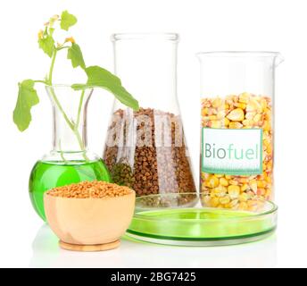 Conceptual photo of bio fuel.  Isolated on white Stock Photo