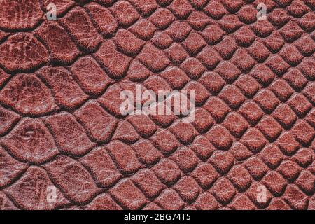 Texture of brown genuine leather close-up, embossed under the skin of reptile, natural background Stock Photo