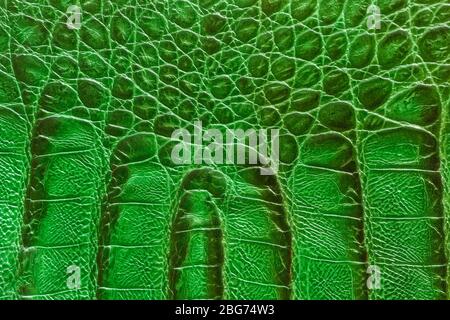 Texture of genuine leather close-up, bright green emerald color, embossed scales reptiles, fashion trend pattern, wallpaper or banner design Stock Photo