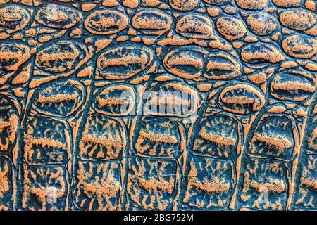Convex scales of genuine leather, embossed under the skin of a reptile, crocodile, orange blue color. Texture, macro exotic background Stock Photo