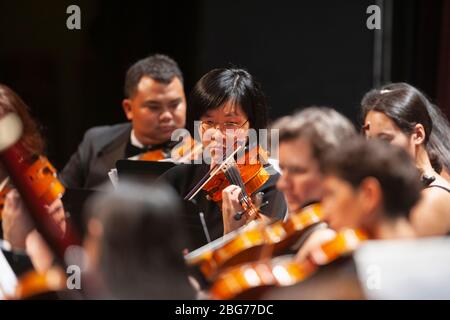 Viola section players (all model released) performing in classical orchestra. Stock Photo