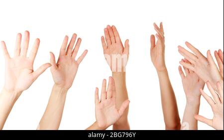Many hands of participation isolated on white Stock Photo