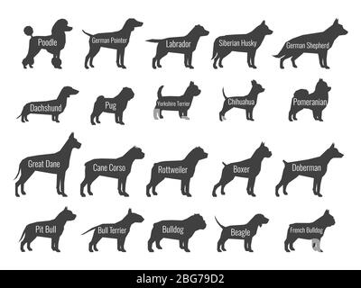 Black dog breeds vector silhouettes isolated on white background. Profile of poodle and labrador, siberian husky and shepherd, dachshund and pug illus Stock Vector