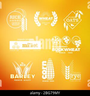 White organic wheat grain farming agriculture vector logo set illustration Stock Vector