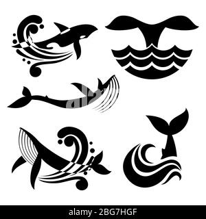 White and black wild whale in sea waves and water splashes vector icons. Wild big fish wildlife sea and ocean illustration Stock Vector