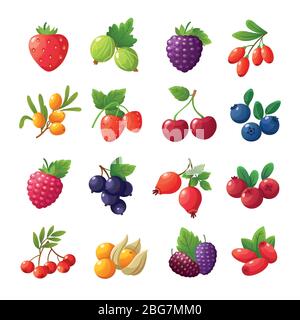 Cartoon berries. Strawberries, raspberries, cherries, gooseberries, blueberries, cranberries vector set isolated on white background. Set of berry foo Stock Vector
