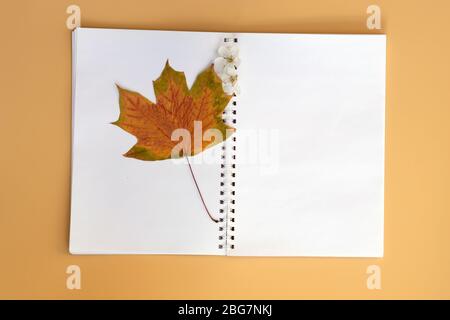 Notepad with white blank sheets top view. Dry maple leaf on a white sheet of notepad on an orange background. Book for personal notes and drawing, cop Stock Photo